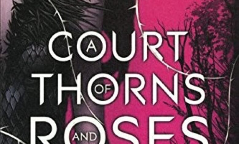 Acotar hires