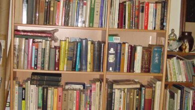 2026 Seiun awards nominees Japanese science fiction