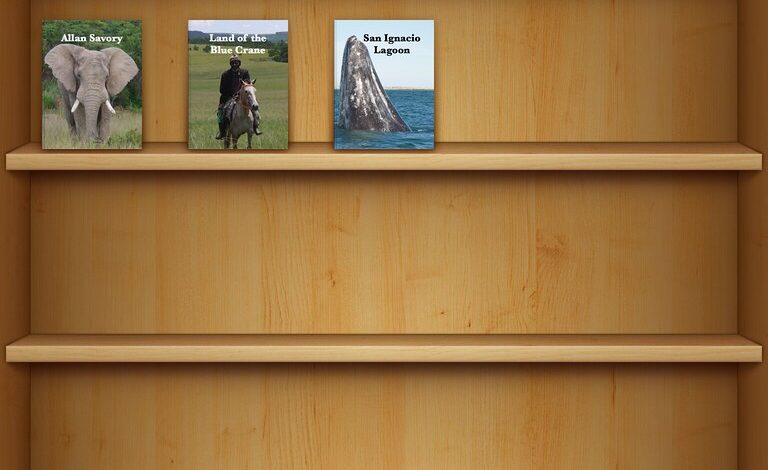 Bookaddict fiction author at writing desk