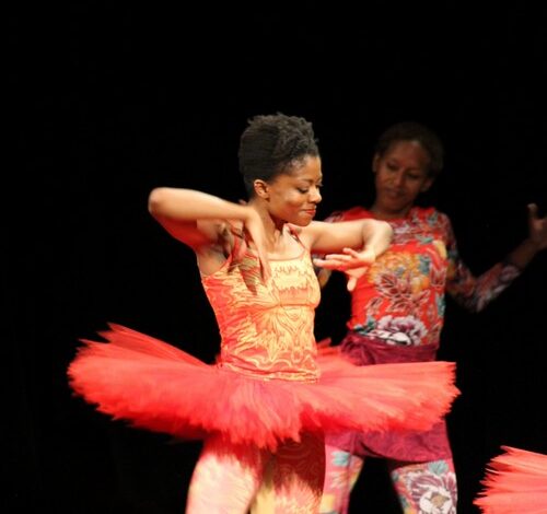 Bookaddict the dancing girl