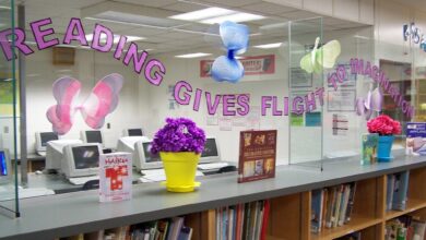 Literary fiction reading imagination books flight